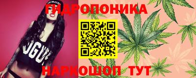 PSILOCYBIN Пенза