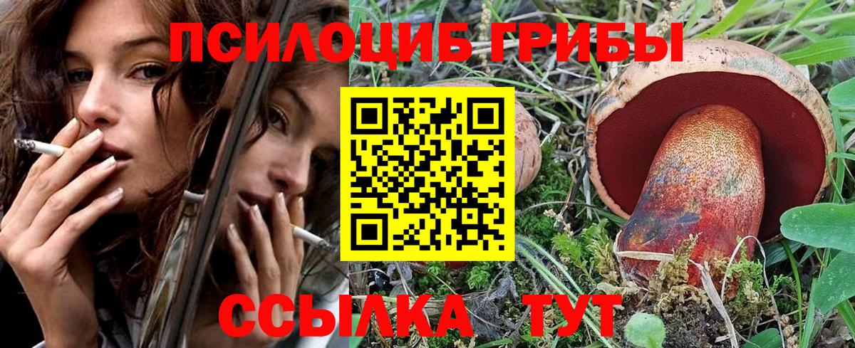 Псилоцибиновые грибы Psilocybe Пушкино